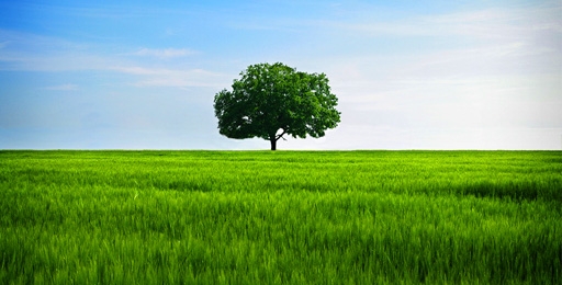 Eco-sostenibilità